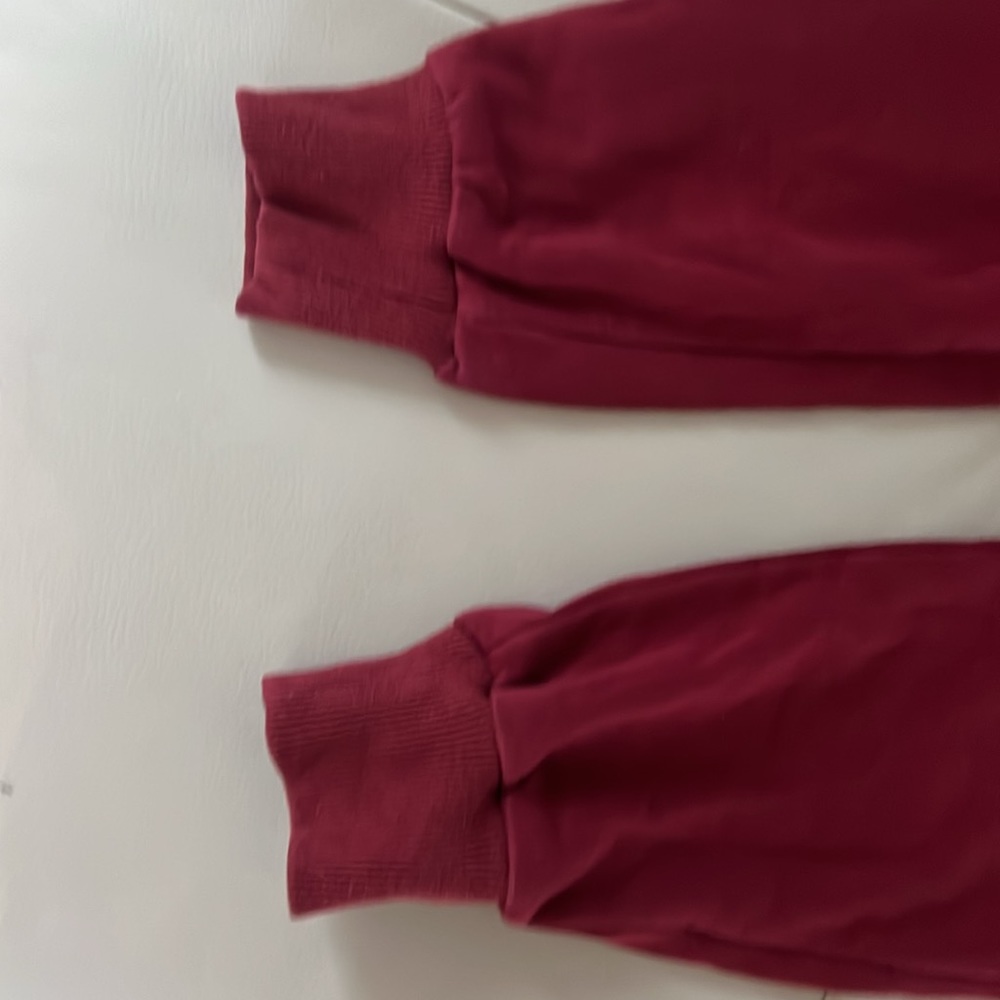 LF The Brand roal blue jogger sweatpants! Size Xsmall. Hard to find! - Picture 4 of 5